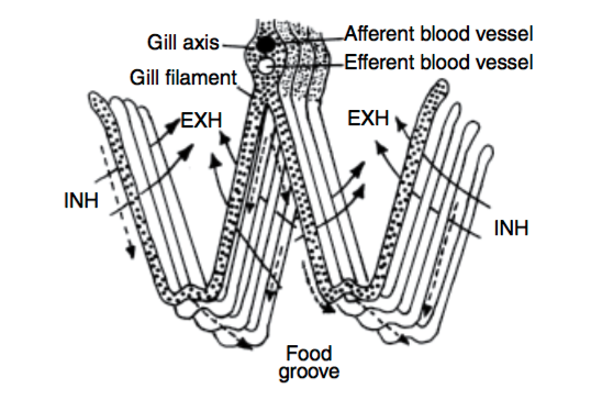 figure image